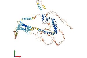 AlphaFold protein structure predicition of Mouse Recombinant Tmem201 Protein, UniprotID A2A8U2