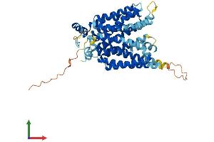 AlphaFold protein structure predicition of Mouse Recombinant Slc2a8 Protein, UniprotID Q9JIF3