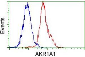 Image no. 4 for anti-Aldo-Keto Reductase Family 1, Member A1 (Aldehyde Reductase) (AKR1A1) antibody (ABIN1496544) (AKR1A1 anticorps)