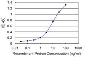 Detection limit for recombinant GST tagged DLL4 is 0.