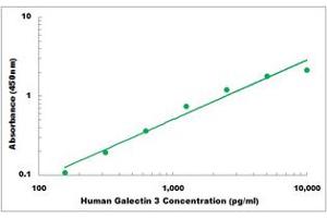 Representative Standard Curve (Galectin 3 Kit ELISA)