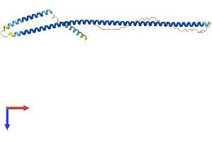 AlphaFold protein structure predicition of Human Recombinant ZWINT Protein, UniprotID O95229