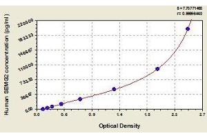 Typical standard curve (SEMG2 Kit ELISA)