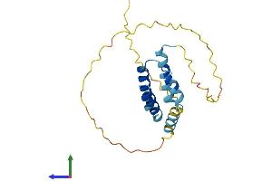 AlphaFold protein structure predicition of Human Recombinant CT45A9 Protein, UniprotID P0DMV2 (CT45A9 (AA 1-189) protein (His tag))