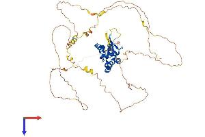 AlphaFold protein structure predicition of Mouse Recombinant Foxn4 Protein, UniprotID Q8K3Q3