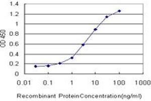 Detection limit for recombinant GST tagged SLC6A4 is approximately 0.
