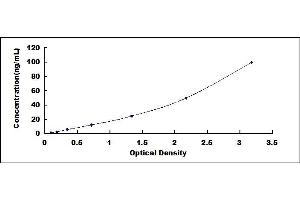 Typical standard curve (ICAM5 Kit ELISA)