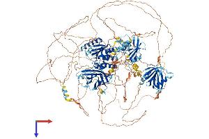 AlphaFold protein structure predicition of Human Recombinant TNS3 Protein, UniprotID Q68CZ2