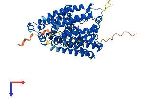 AlphaFold protein structure predicition of Human Recombinant MBOAT1 Protein, UniprotID Q6ZNC8