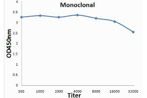 Image no. 2 for anti-Fibrinogen antibody (ABIN722856)