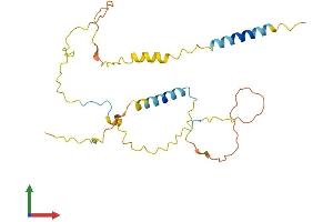AlphaFold protein structure predicition of Human Recombinant LAT2 Protein, UniprotID Q9GZY6
