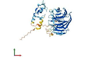 AlphaFold protein structure predicition of Mouse Recombinant Nhlrc1 Protein, UniprotID Q8BR37