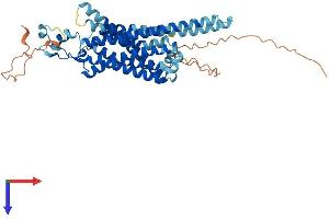 AlphaFold protein structure predicition of Mouse Recombinant Nmur1 Protein, UniprotID O55040