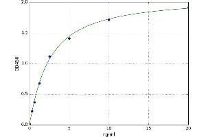 Kynurenine 3-Monooxygenase (Kynurenine 3-Hydroxylase) (KMO) ELISA Kit