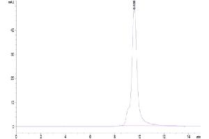 The purity of Cynomolgus CD69 is greater than 95 % as determined by SEC-HPLC.