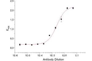 ELISA detection using anti-Activin Receptor IIB, pAb (IG-510) .