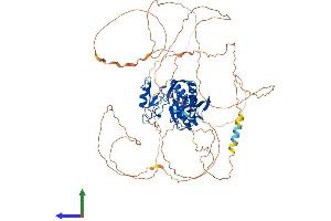 AlphaFold protein structure predicition of Human Recombinant CPEB4 Protein, UniprotID Q17RY0