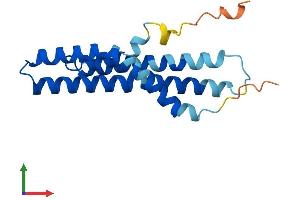AlphaFold protein structure predicition of Mouse Recombinant Mtfp1 Protein, UniprotID Q9CRB8