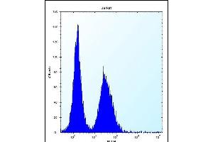 DDIT3 Antibody (Center) (ABIN656987 and ABIN2846170) flow cytometric analysis of Jurkat cells (right histogram) compared to a negative control cell (left histogram).