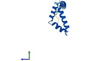 AlphaFold protein structure predicition of Human Recombinant RIIAD1 Protein, UniprotID A6NNX1