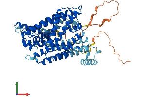 AlphaFold protein structure predicition of Human Recombinant SLC7A7 Protein, UniprotID Q9UM01