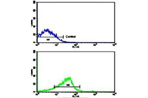 Flow cytometric analysis of ZR-75-1 cells using FREQ polyclonal antibody (bottom histogram) compared to a negative control cell (top histogram). (NCS1 anticorps  (Internal Region))