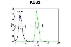 Flow Cytometry (FACS) image for anti-Secreted Frizzled-Related Protein 4 (SFRP4) antibody (ABIN2996265)