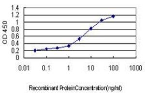 Detection limit for recombinant GST tagged RNF14 is approximately 0. (RNF14 anticorps  (AA 217-316))