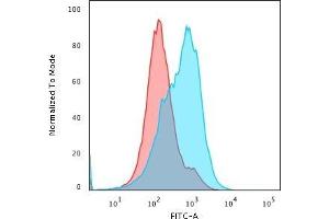 Flow Cytometric Analysis of paraformaldehyde-fixed HepG2 cells using SUMO-1 Mouse Monoclonal Antibody (SM1/495) followed by goat anti- Mouse- IgG-CF488 (Blue); Isotype Control (Red). (SUMO1 anticorps)