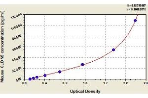 Typical Standard Curve (Claudin 5 Kit ELISA)