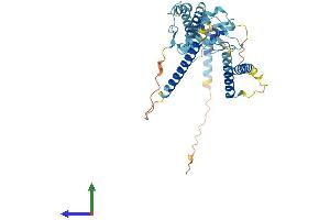 AlphaFold protein structure predicition of Human Recombinant NFKBIL1 Protein, UniprotID Q9UBC1