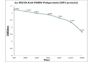 anti-Fmdv Polyprotein antibody