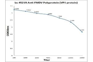 Antigen: 0. (Fmdv Polyprotein anticorps)