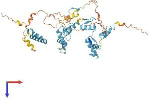 AlphaFold protein structure predicition of Human Recombinant ZNF584 Protein, UniprotID Q8IVC4