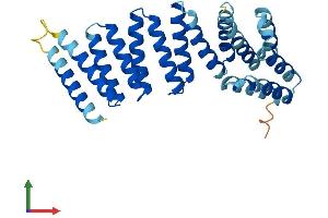 AlphaFold protein structure predicition of Mouse Recombinant Napa Protein, UniprotID Q9DB05