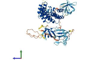 AlphaFold protein structure predicition of Human Recombinant NCF2 Protein, UniprotID P19878