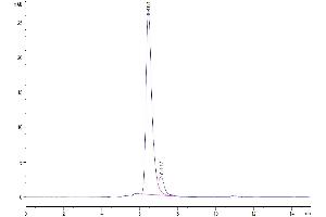 The purity of Human CD42b is greater than 92 % as determined by SEC-HPLC.