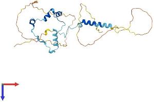 AlphaFold protein structure predicition of Mouse Recombinant Sap30bp Protein, UniprotID Q02614