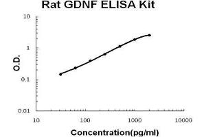 Rat GDNF PicoKine ELISA Kit standard curve (GDNF Kit ELISA)