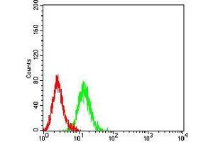 Flow cytometric analysis of K562 cells using P2RY1 mouse mAb (green) and negative control (red).