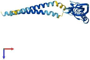 AlphaFold protein structure predicition of Human Recombinant KCNMB4 Protein, UniprotID Q86W47