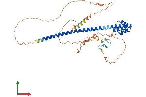 AlphaFold protein structure predicition of Human Recombinant TEX13A Protein, UniprotID Q9BXU3