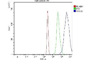 Flow Cytometry analysis of HL-60 cells using anti-APEX2 antibody (ABIN7599449). (APEX2 anticorps  (AA 1-500))