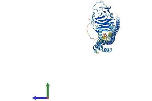 AlphaFold protein structure predicition of Mouse Recombinant Triml1 Protein, UniprotID Q8BVP1