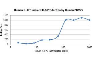 SDS-PAGE of Human Interleukin-17E (IL-25) Recombinant Protein Bioactivity of Human Interleukin-17E (IL-25) Recombinant Protein. (IL-25 Protéine)