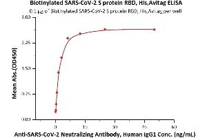 SARS-CoV-2 Spike S1 (RBD) protein (His tag,AVI tag,Biotin)