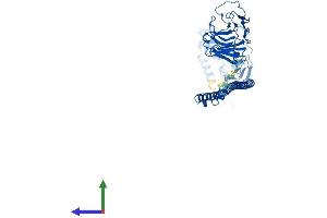 AlphaFold protein structure predicition of Mouse Recombinant Trim21 Protein, UniprotID Q62191