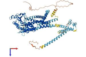 AlphaFold protein structure predicition of Mouse Recombinant Pkd2l1 Protein, UniprotID A2A259