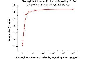 Immobilized Human Prolactin R, Fc Tag (ABIN5674642,ABIN6253668) at 5 μg/mL (100 μL/well) can bind Biotinylated Human Prolactin, Fc,Avitag (ABIN5954928,ABIN6253576) with a linear range of 5-156 ng/mL (QC tested).