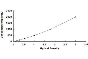 Typical standard curve (Stanniocalcin 2 Kit ELISA)